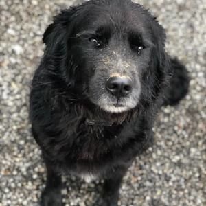 Meet your Posher, Doug